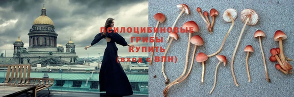 скорость Дмитров